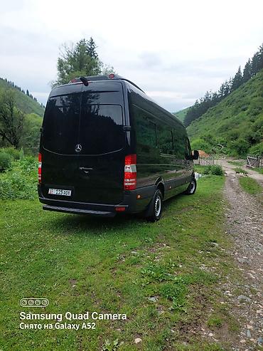 спринтер на аренду: Автобус, Mercedes-Benz, 2015 г., 2.2 л, 16-21 мест — 2