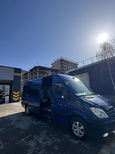 rex sprinter: Пункт назначения: Все направления, Количество мест: 17, Лицензия №: ФПП-Н-33 — 3