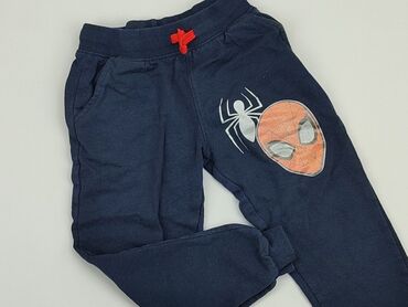 spodnie dresowe pitbull: Sweatpants, 5-6 years, 116, condition - Good