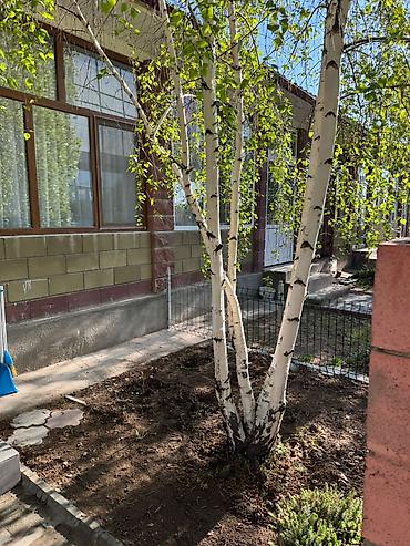 котеджи бостери: Сдается уютный 2-ком. мини коттедж в селе Бостери на территории — 9
