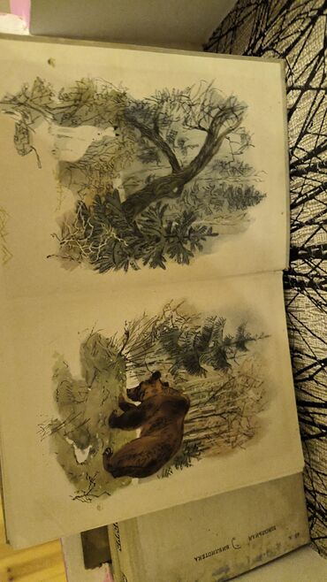 Digər kitablar və jurnallar: Digər kitablar və jurnallar — 25