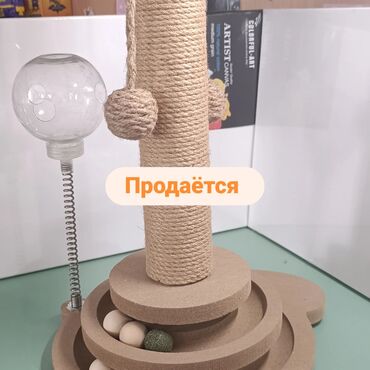 домик туалет для кошек: Натуральная когтеточка для вашего любимца