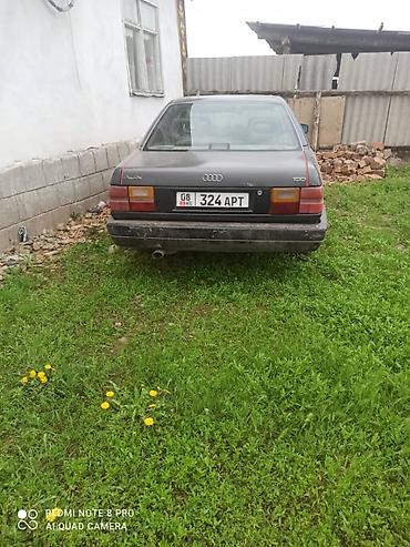 купить раритетное авто: Audi 100: 1991 г., Седан — 2