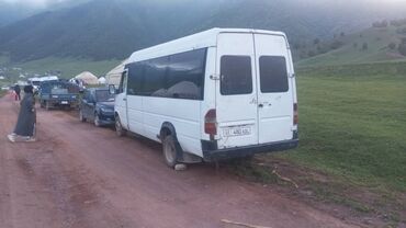 Mercedes-Benz: Mercedes-Benz Спринтер: 1996 г., 2.9 л, Механика, Дизель, Бус