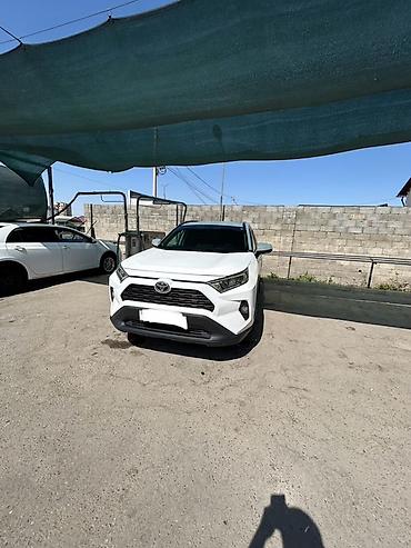 toyota rav4 2014: Toyota RAV4: 2020 г., 2.5 л, Бензин, Кроссовер — 1