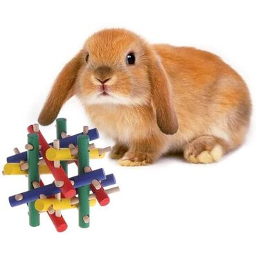 деревянные игрушки: Игрушка для домашних животных, цветной деревянный красочный куб
