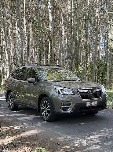 subaru forester цены: Subaru Forester: 2020 г., 2.5 л, Автомат, Бензин, Внедорожник — 3