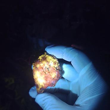 Digər kolleksiyalar: UV Parlayan Təbii Daş Satılır – Kolleksiya üçün Nadir Kristal 💎 — 7