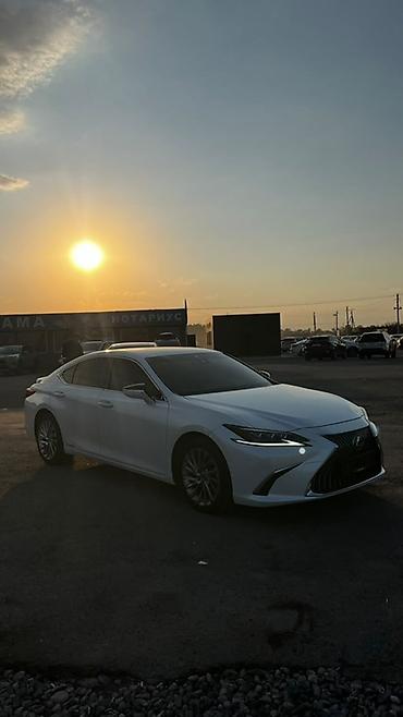 лексус 570 цена: Lexus ES: 2020 г., 2.5 л, Гибрид, Седан — 6