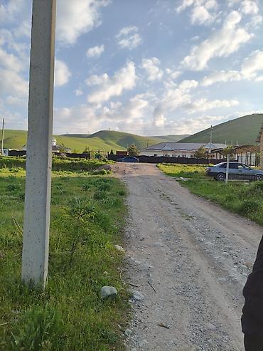 Продажа участков: 5 соток, Красная книга — 3