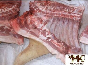резка мясо: Продаю мясо свинину ляжками. Передняя ляжка 380 Задняя ляжка 400