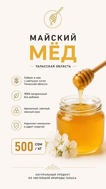 Продукты питания: Майский мёд — Таласская область - Собран в мае с цветущих лугов — 1