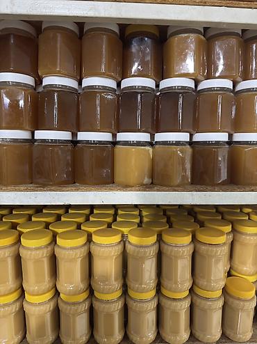 Мёд: Оптом Натуральный горный мёд 🌿 Без добавок и сахара. Сильный аромат — 23