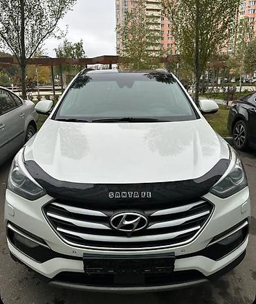 Тюнинг: Мухобойка на капот Hyundai, 2017 г., Новый, Самовывоз, Платная доставка — 2