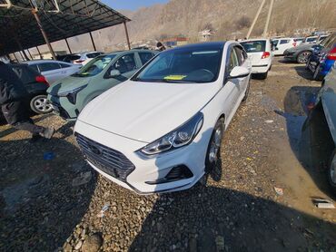 Hyundai: Hyundai Sonata: 2018 г., 2 л, Автомат, Газ