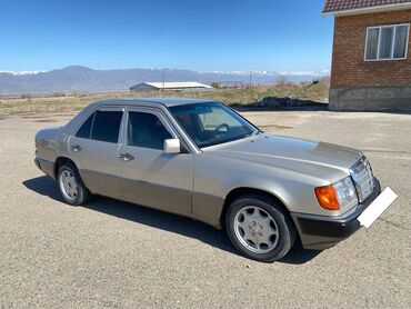 а6 дизель: Mercedes-Benz W124: 1990 г., 3 л, Автомат, Дизель, Седан