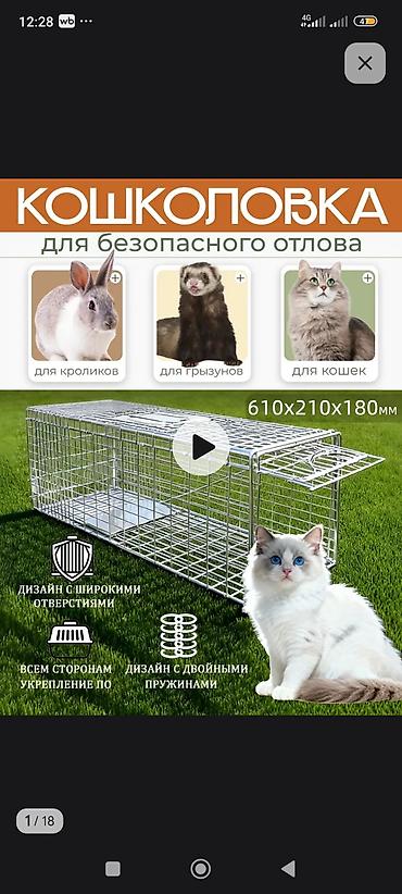 кролик бишкек: Живая ловушка-клетка для гуманного отлова животных Описание - — 1