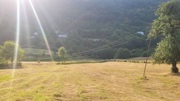 Torpaq sahələrinin satışı: Lerik rayonu Vizəzəmin kəndi ərazisində yerləşən ərazini tədqim — 5