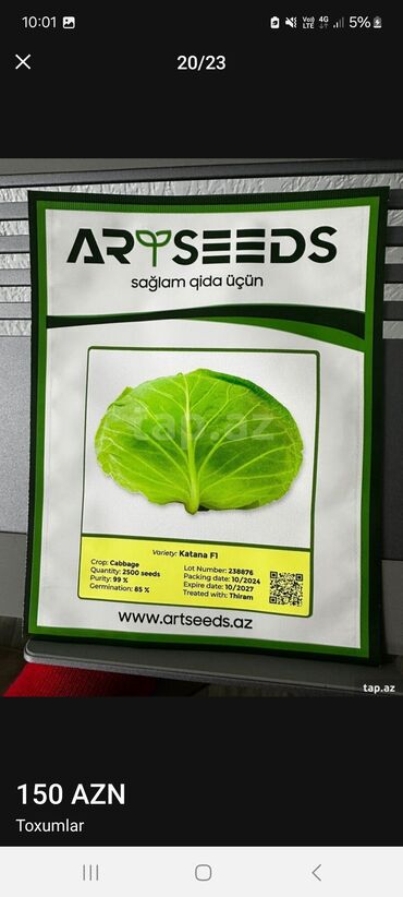 Toxumlar: Məhsul: Toxumlar – ALIZE F1 qarpız toxumu - Brend: KNOWN-YOU SEED — 7