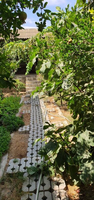 Həyət evləri və villaların satışı: Şağan 3 otaqlı, 65 kv. m, Orta təmir — 15