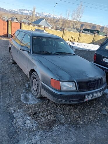 Audi: Audi 100: 1992 г., 2.8 л, Механика, Бензин, Универсал