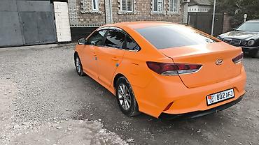 оранжевый соната: Hyundai Sonata: 2017 г., 2 л, Автомат, Бензин, Седан — 4