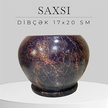 Bitki torpaqları: SAXSI DİBÇƏKLƏR 1 ededi 40 — 7