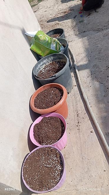 Torf: 250 litrlik torf — 2