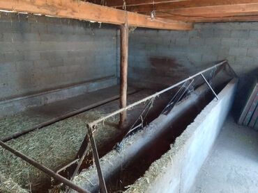 Продажа домов: Дом, 150 м², 7 комнат, Евроремонт — 13