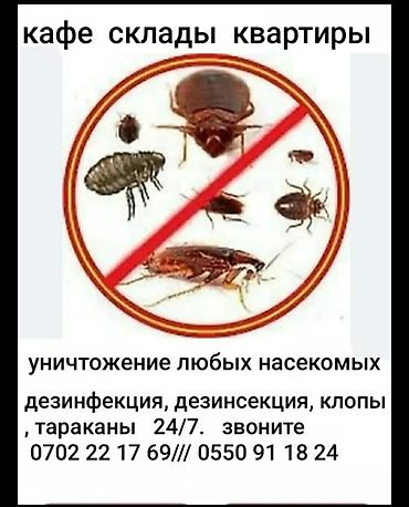 депаразит цена ош: Дезинфекция, дезинсекция, | Тараканы, | Квартиры — 2