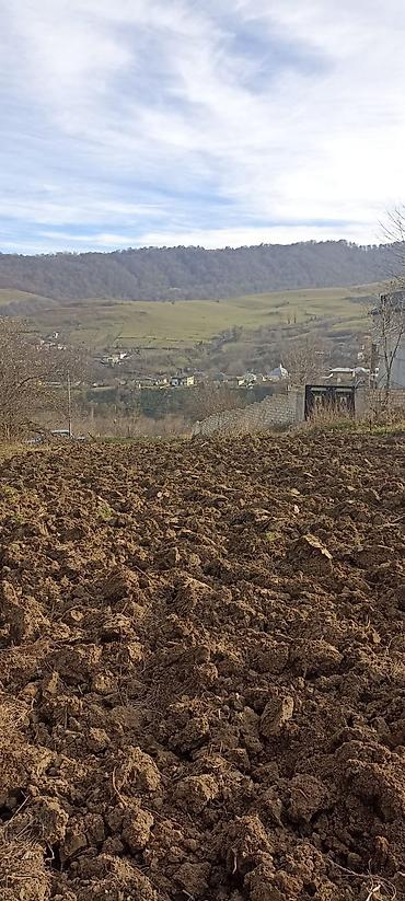 Torpaq sahələrinin satışı: Kənd təsərrüfatı — 7