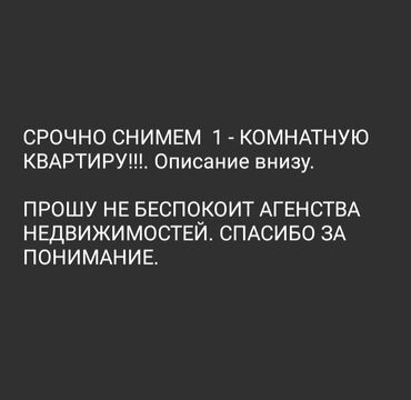 ищу квартиру на длительный срок: 1 бөлмө, Менчик ээси