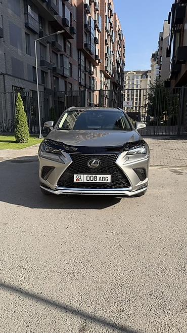 lexus nx: Lexus NX: 2019 г., 0.2 л, Автомат, Бензин, Кроссовер — 5