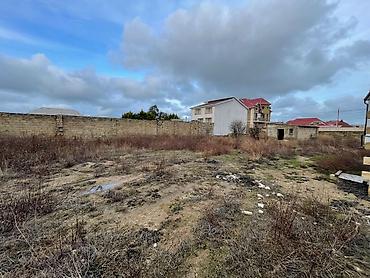 Ev və bağ: Buzovnada dənizə yaxın 8 sot çıxarışlı torpaq satılır! 📍 Ünvan — 7