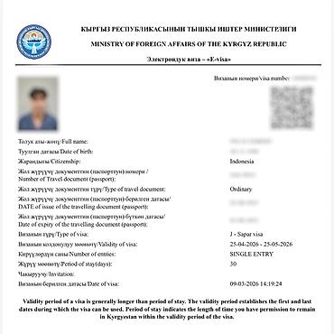 visa: Визы в Кыргызстан, США, Японию и Шенген. Помогаю с оформлением виз в — 9