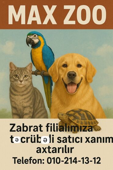 Satış məsləhətçiləri: Satış məsləhətçisi tələb olunur, Yalnız qadınlar üçün, 18-29 yaş, 1 ildən az təcrübə, Ayda 2 dəfə ödəniş