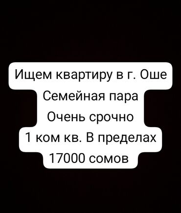 Сниму квартиру: 1 комната, 35 м², С мебелью