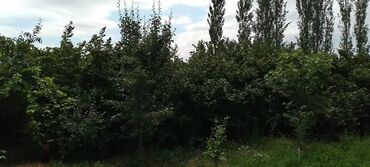 Həyət evləri və villaların satışı: 3 otaqlı, 132 kv. m, Kredit yoxdur, Yeni təmirli — 14