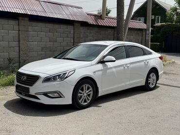Hyundai: Hyundai Sonata: 2017 г., 2 л, Автомат, Газ, Седан