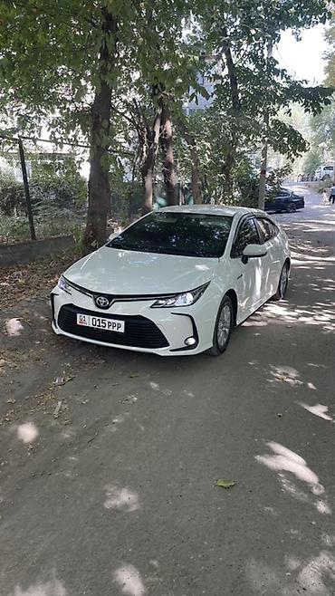 jac aion: Toyota Corolla: 2019 г., Гибрид, Седан — 3