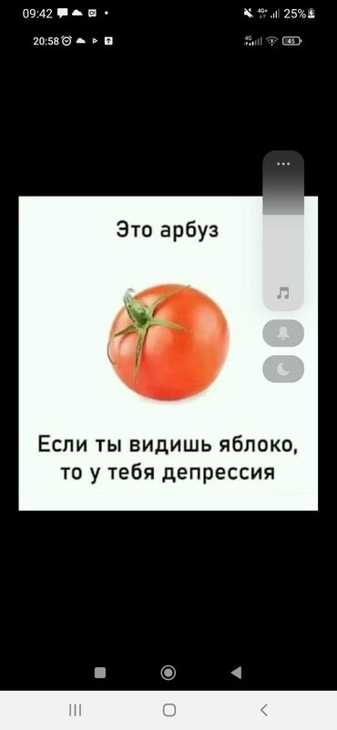 заливка потолка: Жаа өткөөлдөрдү монтаждоо, Жантайган жерлерди монтаждоо, Дубалдарды монтаждоо 6 жылдан ашык тажрыйба