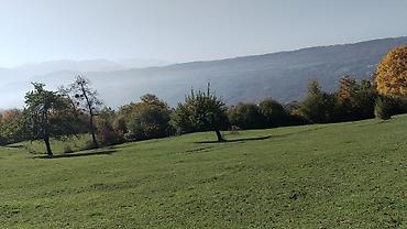 mehemmedlide torpaq satilir: 77 sot, Kənd təsərrüfatı, Mülkiyyətçi, Kupça (Çıxarış) — 2