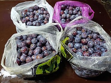 сливы киргизок: СЛИВА (21кг): 3 пакета по 5кг и ещё один пакет 6кг, вообщем 21 кг — 1
