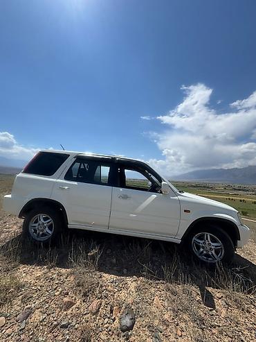 жип внедорожник: Внедорожник 5‑дверный, белый цвет кузова. Компактный SUV с высоким — 1