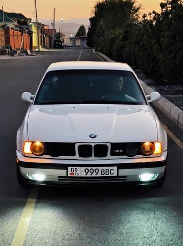 рав 4 крыло: BMW 5 series: 1993 г., 4.6 л, Бензин, Седан