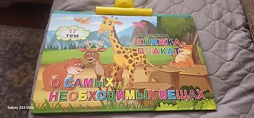 Книги и журналы: Говорящая книжка-плакат «О самых необходимых вещах» в идеальном — 1