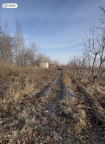 Продажа участков: 100 соток, Для бизнеса, Договор купли-продажи at lalafo.kg — 3 Продажа участков: 100 соток, Для бизнеса, Договор купли-продажи — 3