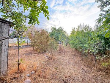 Продажа домов: Дача, 25 м², 2 комнаты — 12