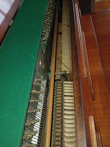 stels velosiped satisi: Piano, Belarus, Akustik, İşlənmiş, Ödənişli çatdırılma — 8