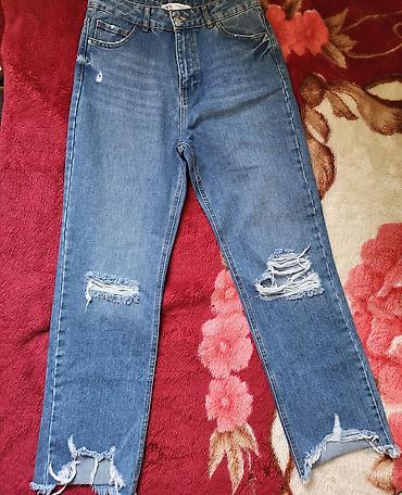 Cinslər: Cinslər, Zara, M — 1